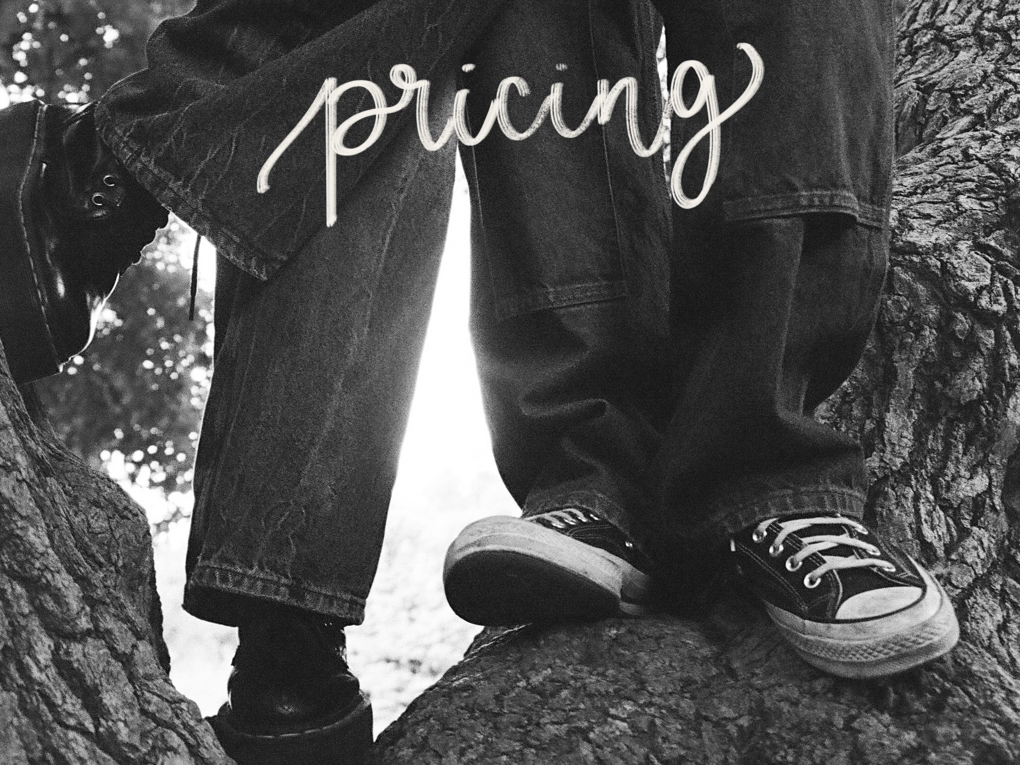 Pricing - Film photography by Jayde Hatch